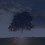 Découvrez comment l’atelier Arbre de Vie en entreprise renforce la cohésion et la QVT grâce à un outil narratif puissant.