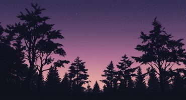 FOND DE PAGE AVEC DES ARBRES AVEC LE DEBUT DE LA NUIT INTEGRANT VIOLET ET MAUVE CALMEMENT